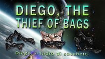 Diego il gatto Ladro di sacchetti - Diego the cat Thief of bags