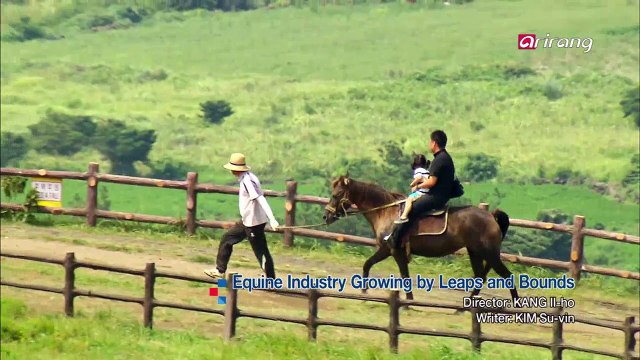 Equine Industry Growing by Leaps and Bounds