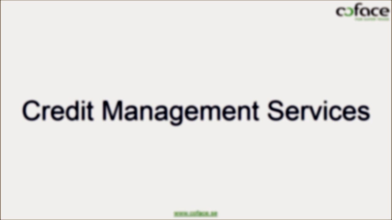 Credit Management Services