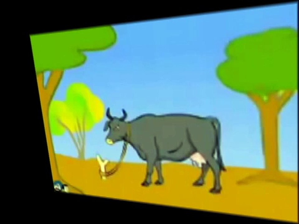 Comedy Punjabi Video