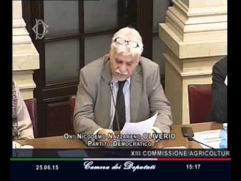 Roma - Audizione Sottosegretario per le politiche agricole (25.06.15)