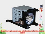 Electrified Replacement Lamp with Housing for Toshiba Models 42HM66