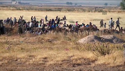 Clashes between Daesh and Kurdish armed groups in Kobani 3