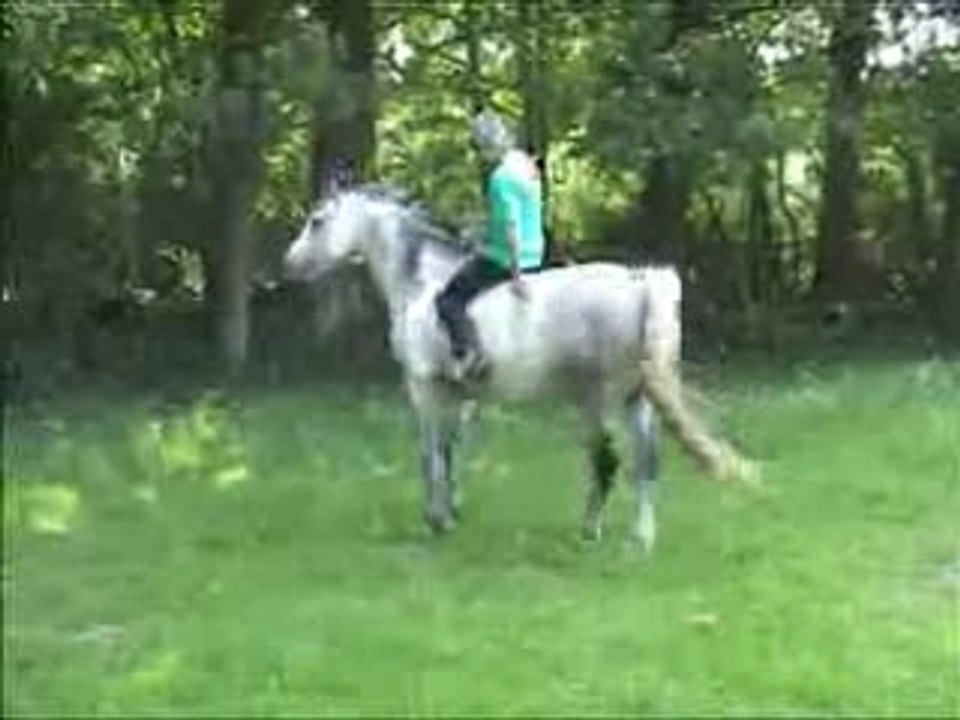 tayane et xavier
