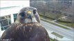 CornellRTHA Cam  'Ezra's Eye View of Campus!'  5:30 pm   5.02.14_