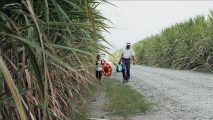 La Terre et l'Ombre, Bande-annonce, Sortie le 03/02/2015