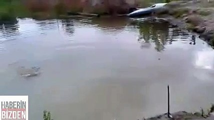 wow, smart dog! loyal friend!