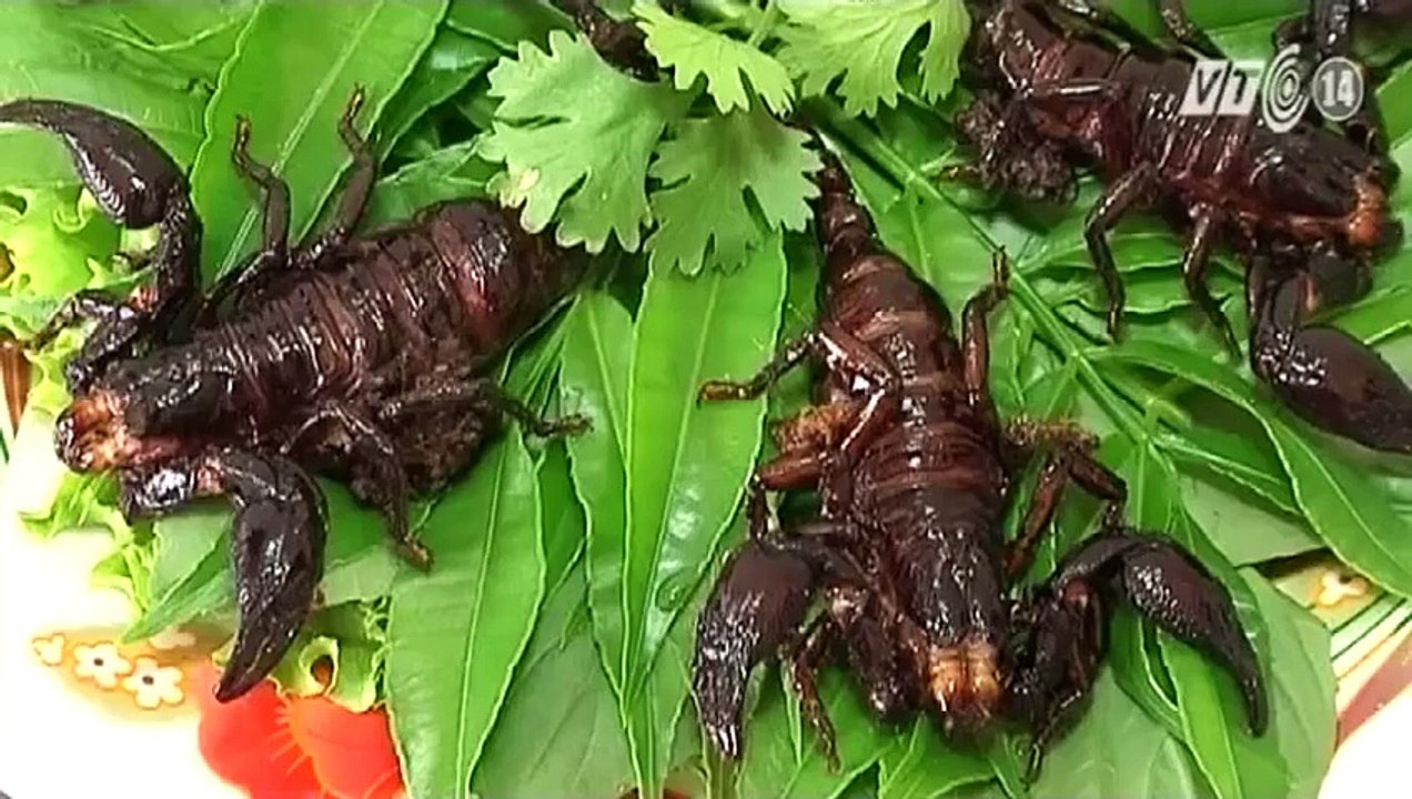 Cách chế biến món ăn từ côn trùng