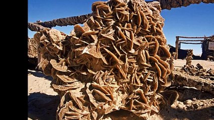 Jacques Higelin - Chanson