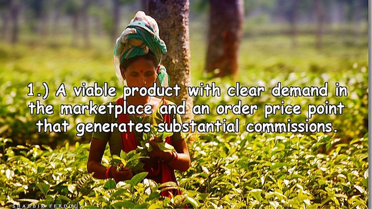 Affiliate Programs For The Loose Tea Business