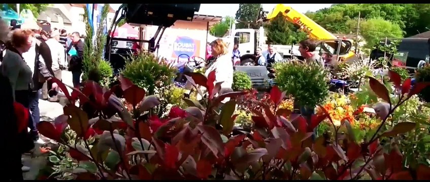 foire de Saint Amand Montrond 2015