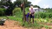 Gardening olympics...Sport turned useful.