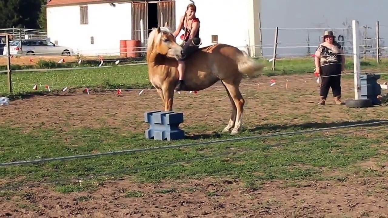 Mit Pferden Sein - MGK Munningen