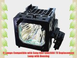 FI Lamps Compatible with Sony KDS-50A2000 TV Replacement Lamp with Housing