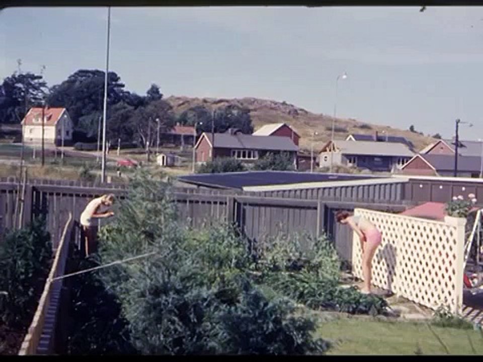 Tuveraset 1977
