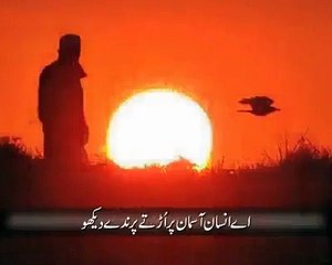 baba bully shah best poetry