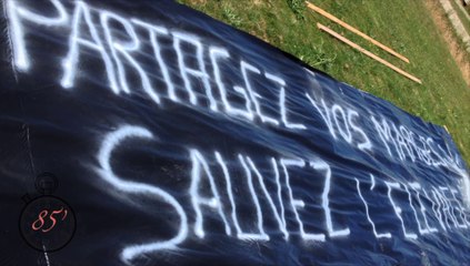 JT Agri85 TV du vendredi 26 juin 2015