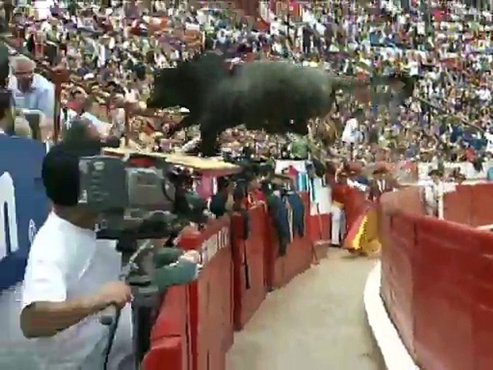 Bull attack peoples sitting in satand during bull fight