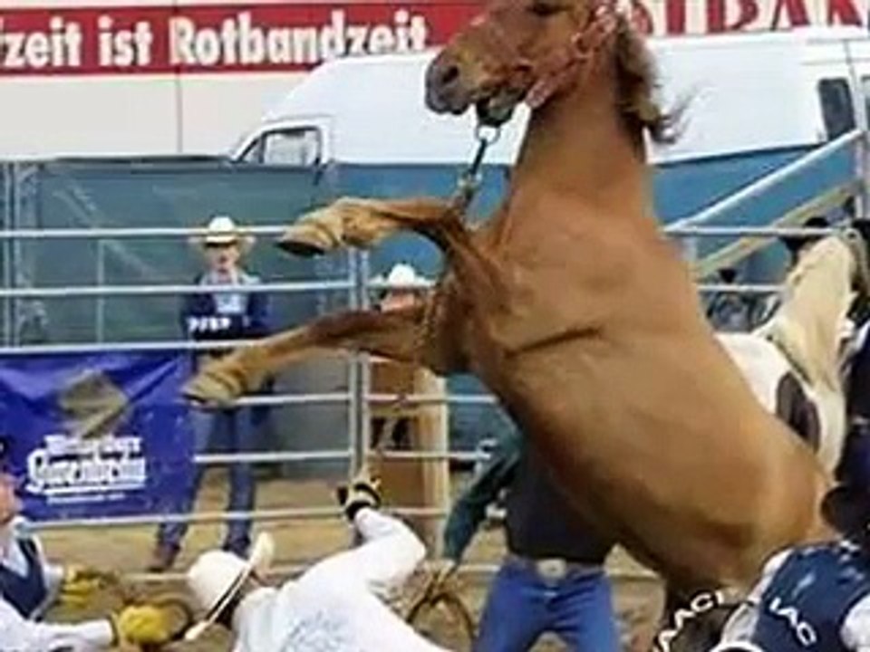 Realities of Horse Slaughter