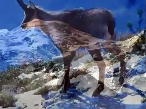 Les allobroges ( hymne de la savoie )