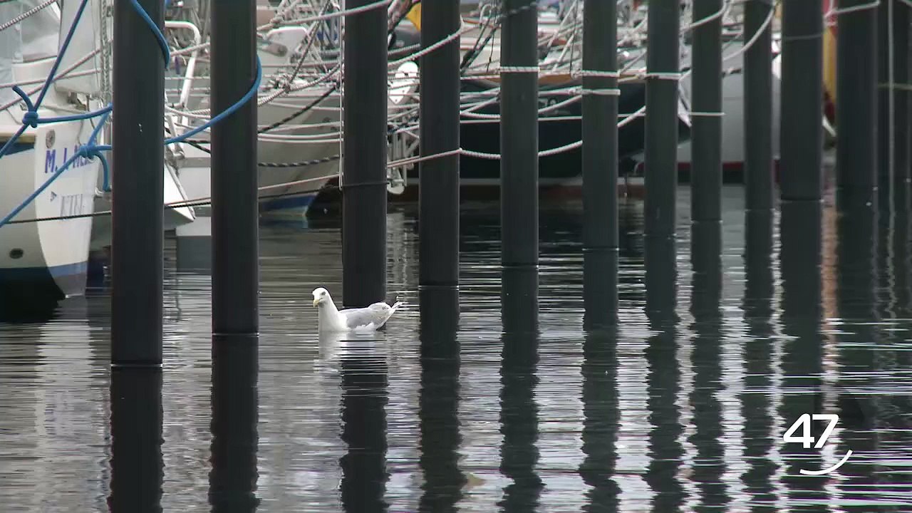 21.06.2015 | 60 Seconds Morning News