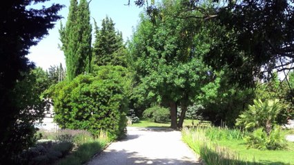 Vente Mas à SAINT-MARTIN-DE-CRAU - 115m2 Possibilité d'agrandissement jusqu'à 250m2 - Piscine