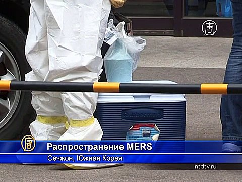 Жертв MERS в Южной Корее – уже 31