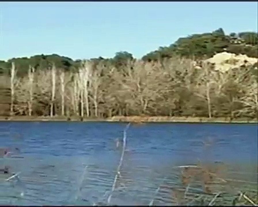 Johnny Pearson - Sleepy Shores