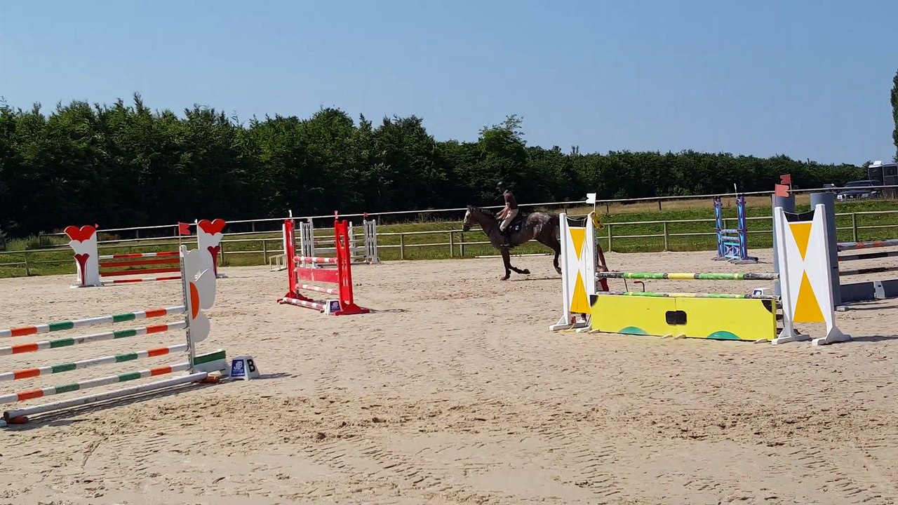 Big bang des genets Les Loges juin 2015 SHF 4A Par Mylord Carthago et Kalinka des genets par le Tot de semilly