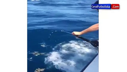 Robin Van Persie pesca un gran tiburón en sus vacaciones • 2015