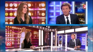 Celine Dion Interview on France 2 News (16/11/2013 HD)