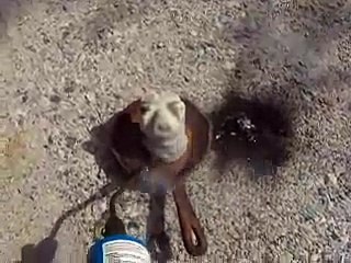 kno3+powdered sugar=smoke bomb