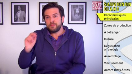 3 minutes pour comprendre le sauvignon blanc