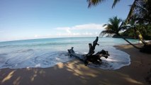 Agence de référencement naturel en Guadeloupe