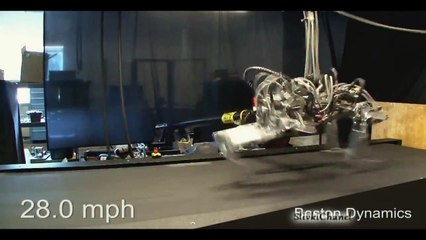 BEST of FUNNY FAIL COMPILATION MAY 2013 NEW 3