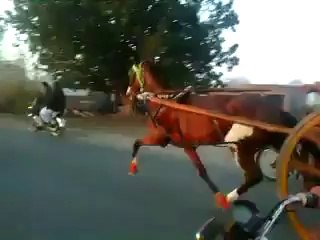 KALA GORA VS DABBI GORI HORSE RACE FAISALABAD