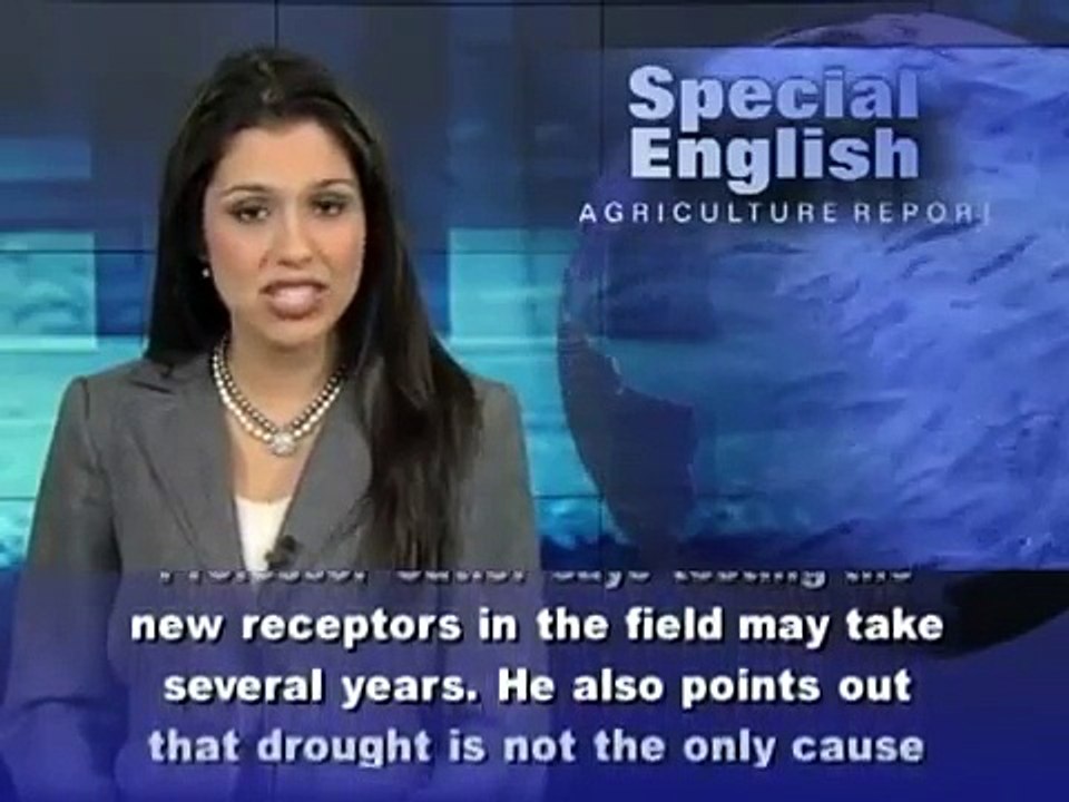 Steps Toward Drought Resistant Crops, 'Designer' Rice : Learning English