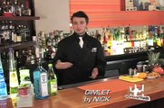 Gimlet Cocktail Recipe - BartenderOne Toronto Bartending School