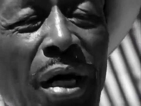 Paul Butterfield Blues Band, Michael Bloomfield and Son House Newport Folk Festival 1965.mp4