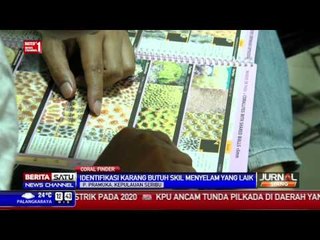 Mengenal Terumbu Karang dengan Coral Finder