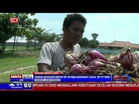 Pedagang Bawang di Brebes Resah Isu Bawang Impor Ilegal