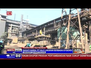 Harga Nikel Anjlok, PT Vale Tetap Genjot Produksi