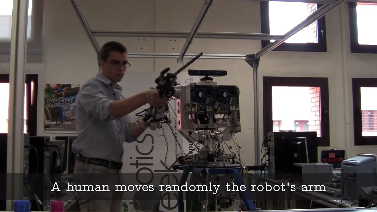 On Using Guided Motor Primitives to Execute Continuous Goal-Directed Actions