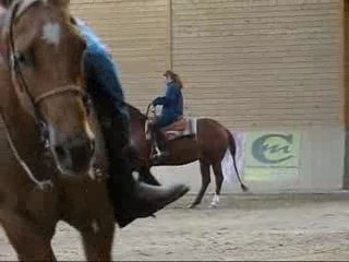 Equitation western