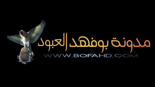 تغريد لصوت أنثى الحسون