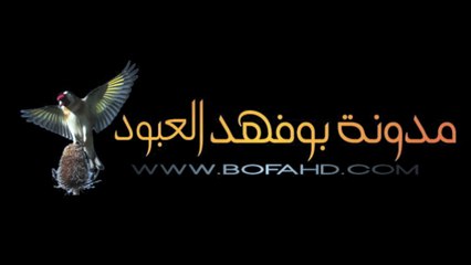 تغريد لصوت أنثى الحسون