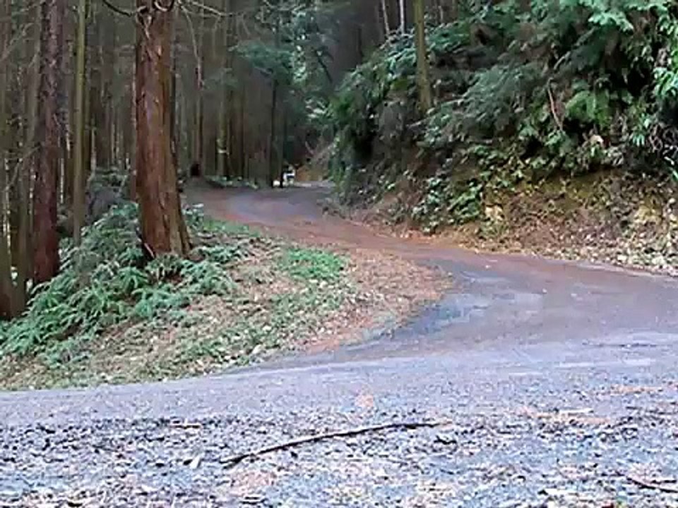 林道暴走族