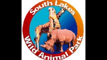 South Lakes Wild Animal Park 2012