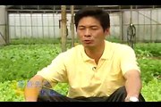 台灣宏觀電視TMACTV--北新有機休閒農場