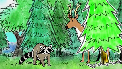 Islands are Different